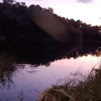 Calhoun Falls Campground ico