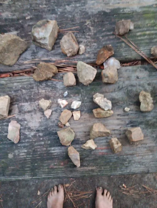 Calhoun Falls Campground Picture 7