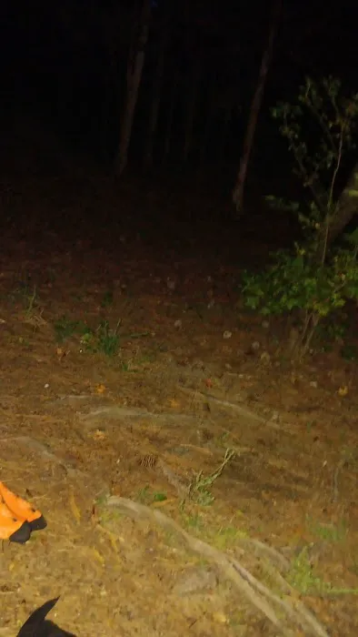 Calhoun Falls Campground Picture 9