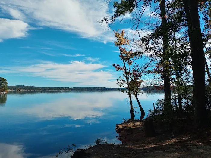 Hesters Ferry Campground Picture 3