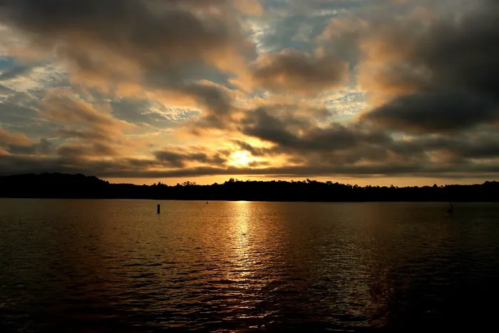 Bobby Brown Park Picture 4