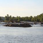 Broad River Campground