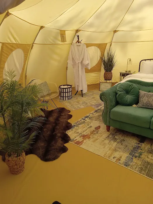 Soap Creek Marina and Resort LLC Picture 5