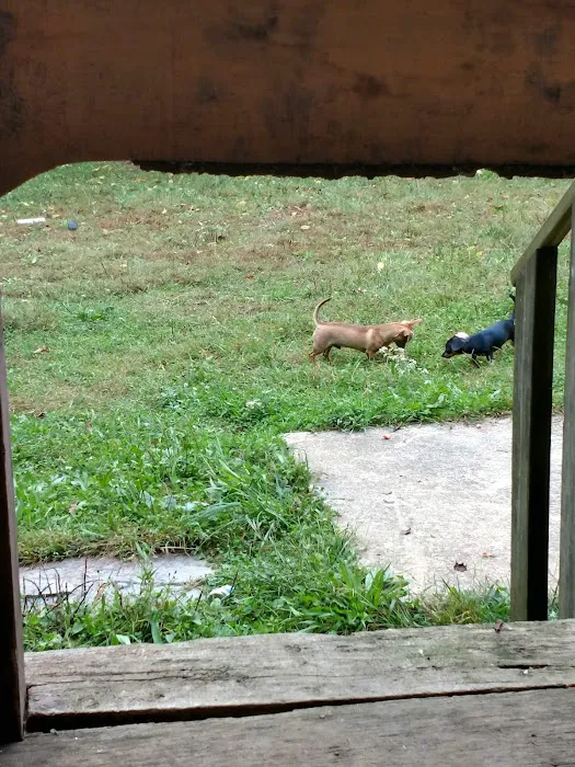 Pinhook Valley Campground and RV Park Picture 1