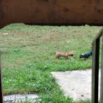 Pinhook Valley Campground and RV Park