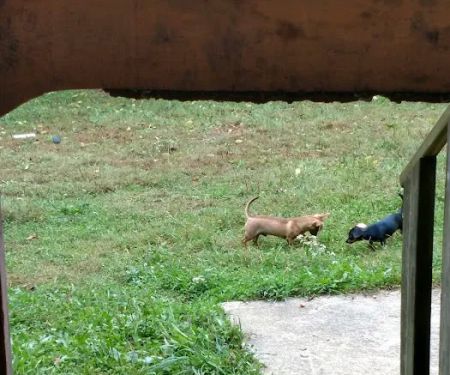 Pinhook Valley Campground and RV Park