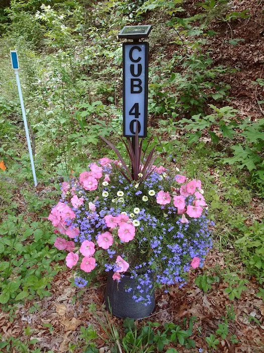 Camp Uptown Backwoods Picture 5