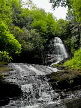 Camp Uptown Backwoods Picture 1