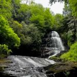 Camp Uptown Backwoods