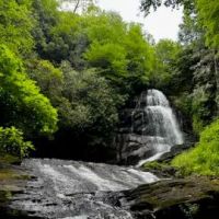 Camp Uptown Backwoods ico