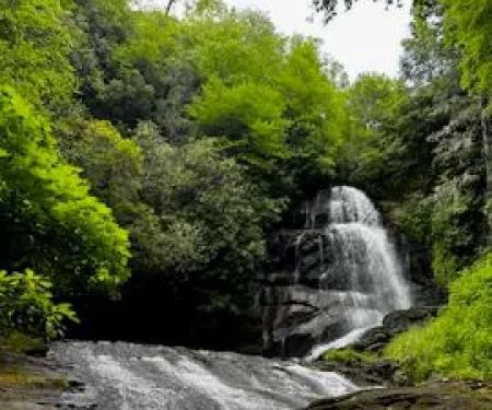 Camp Uptown Backwoods