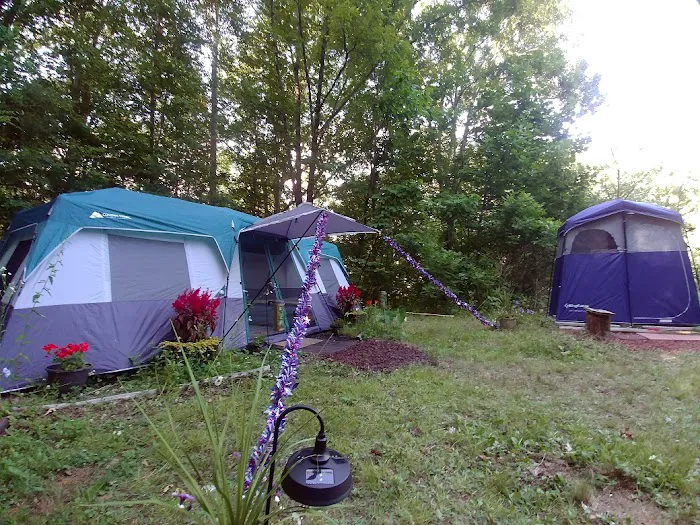 Camp Uptown Backwoods Picture 7