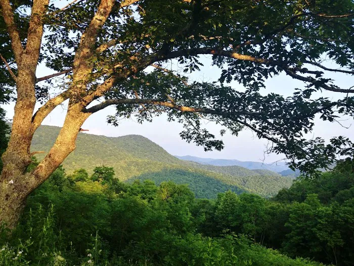 Camp Uptown Backwoods Picture 9