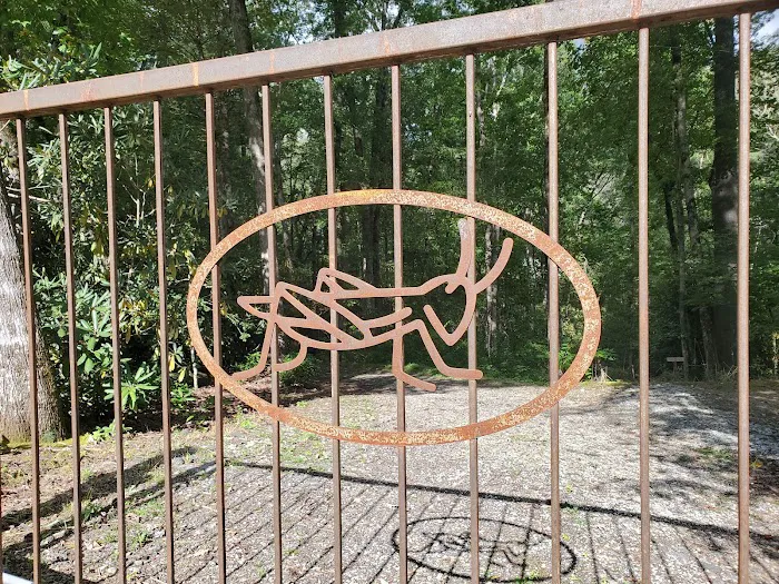 Cashiers Glamping Picture 3