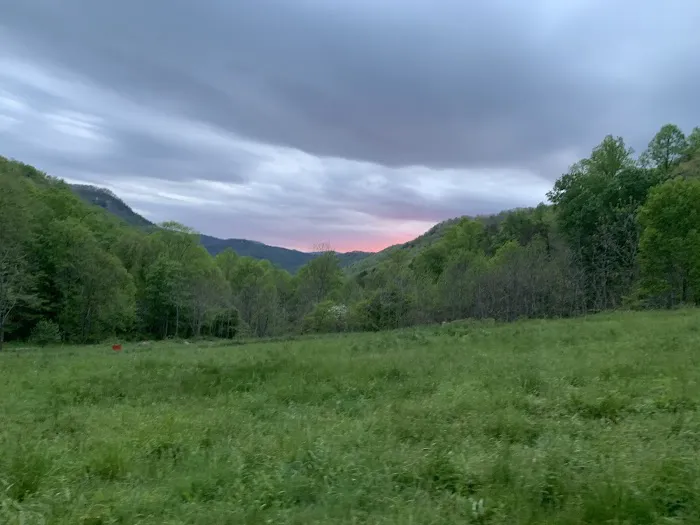 Trout Creek Campground Picture 2