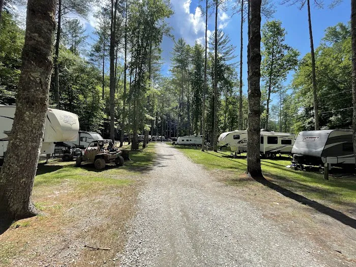 Trout Creek Campground Picture 3