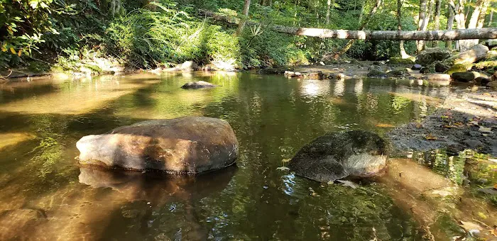 Trout Creek Campground Picture 6