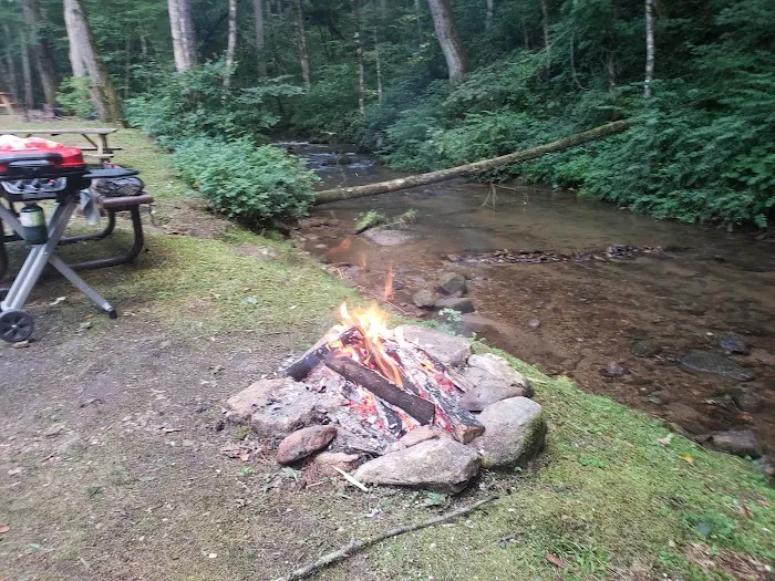 Trout Creek Campground Picture 10