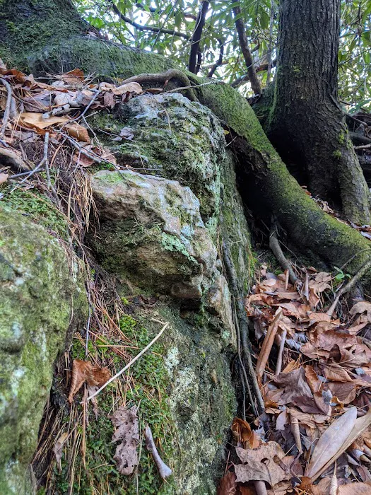 Sloan Bridge Picnic Area Picture 1
