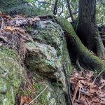 Sloan Bridge Picnic Area