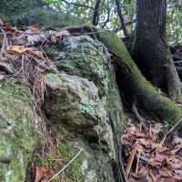 Sloan Bridge Picnic Area ico