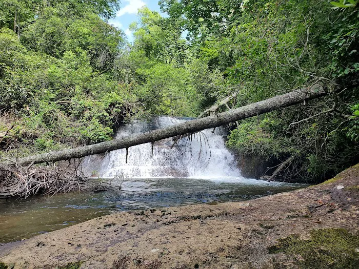 Sloan Bridge Picnic Area Picture 9