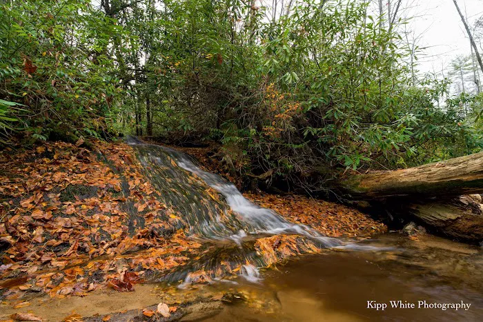 Sloan Bridge Picnic Area Picture 6
