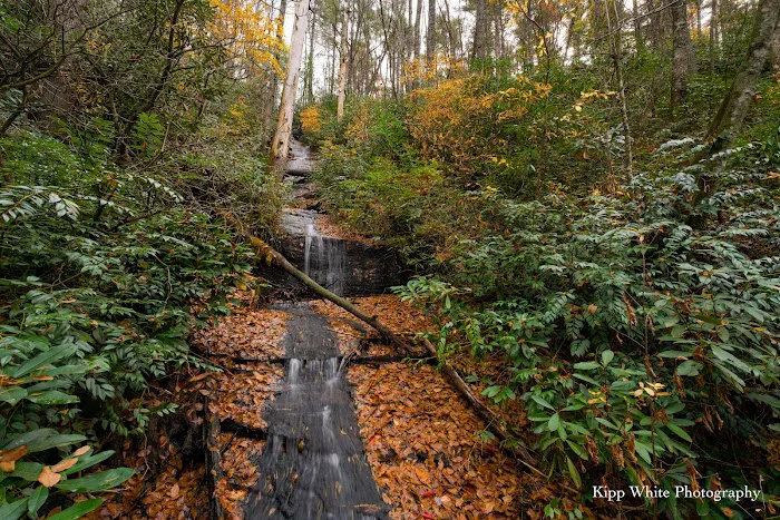 Sloan Bridge Picnic Area Picture 5