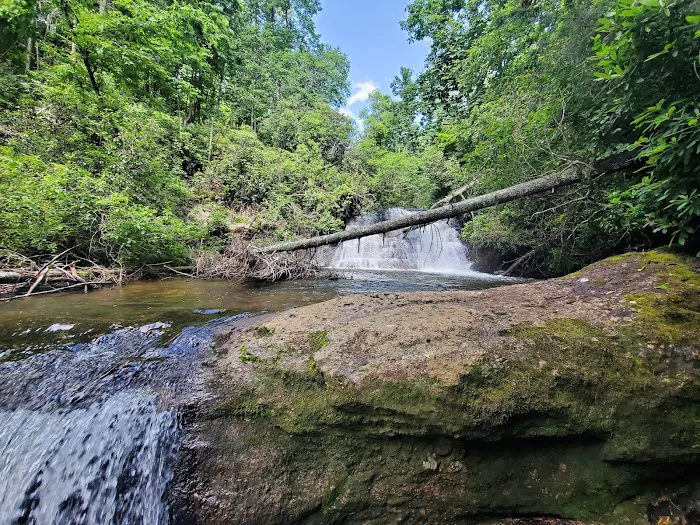 Sloan Bridge Picnic Area Picture 8