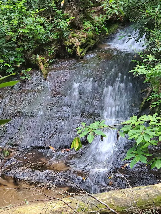 Sloan Bridge Picnic Area Picture 3