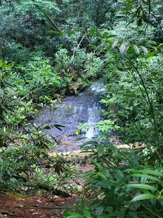 Sloan Bridge Picnic Area Picture 4