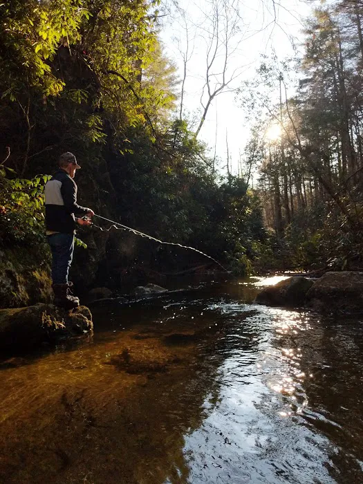 Sloan Bridge Picnic Area Picture 10
