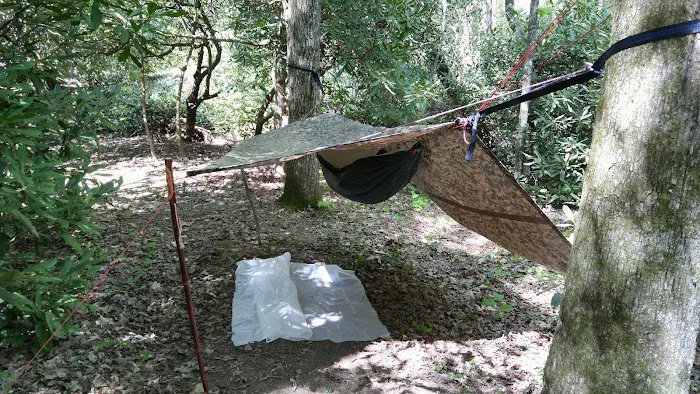 #1 Ammons Branch Campground Picture 7