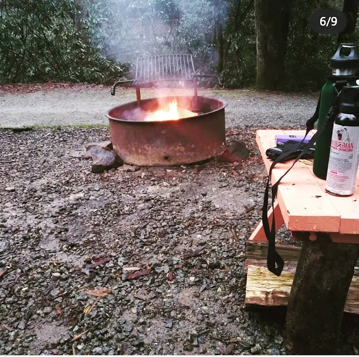 #1 Ammons Branch Campground Picture 9