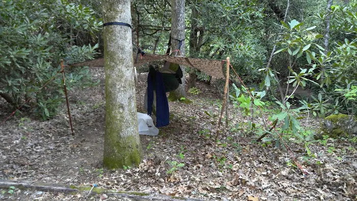 #1 Ammons Branch Campground Picture 4