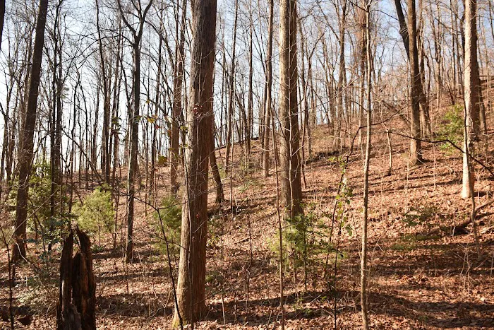 Cherry Hill Recreation Area Picture 2