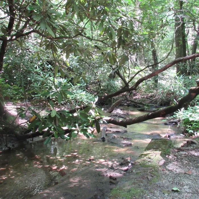 Cherry Hill Recreation Area Picture 4