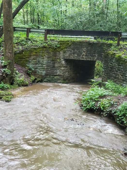 Winding Stairs Camping Area Picture 6