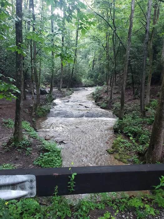 Winding Stairs Camping Area Picture 7