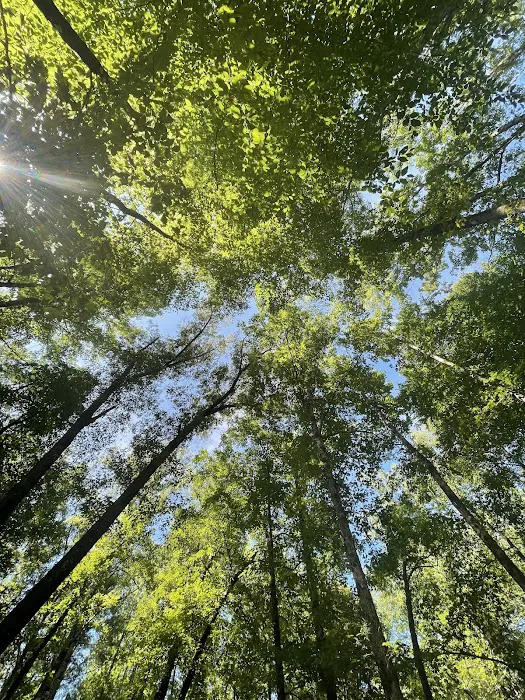 Winding Stairs Camping Area Picture 2