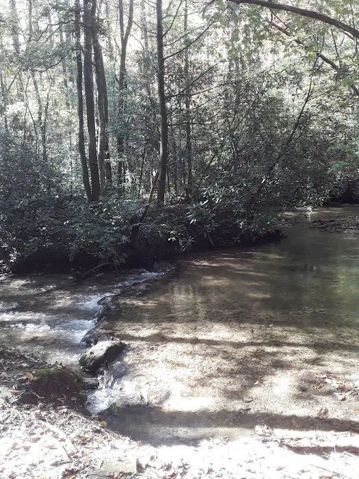 Winding Stairs Camping Area Picture 4