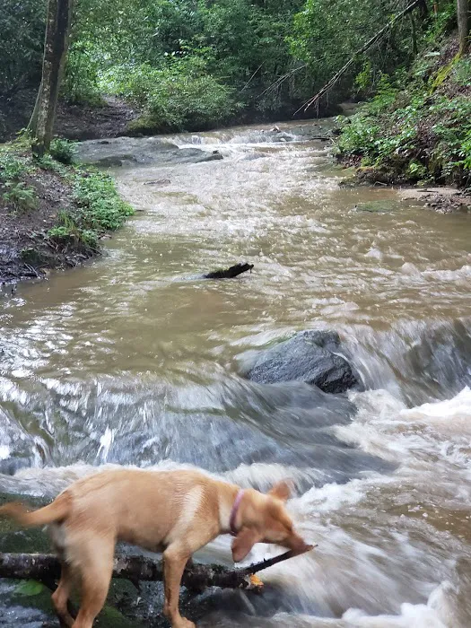 Winding Stairs Camping Area Picture 1
