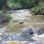 Winding Stairs Camping Area