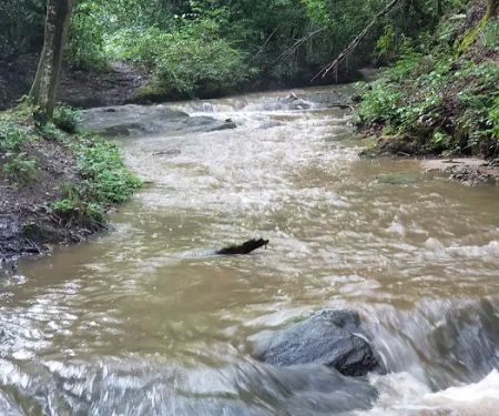 Winding Stairs Camping Area