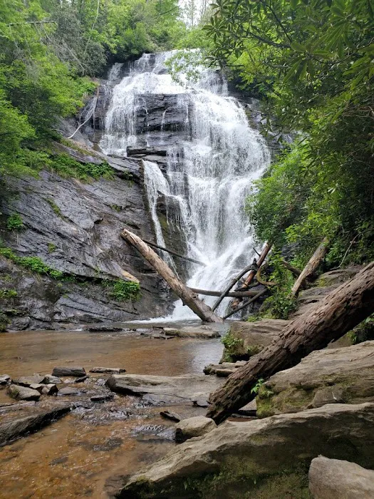 Burrell's Ford Campground Parking Picture 5