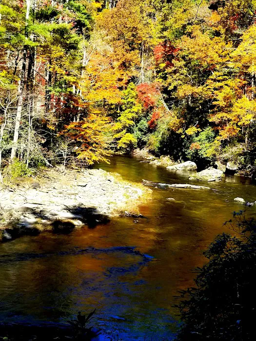 Burrell's Ford Campground Parking Picture 6