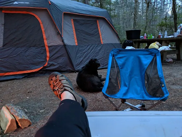 Burrell's Ford Campground Parking Picture 10