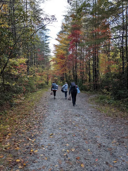 Burrell's Ford Campground Parking Picture 9