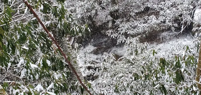 Burrell's Ford Campground Parking Picture 7