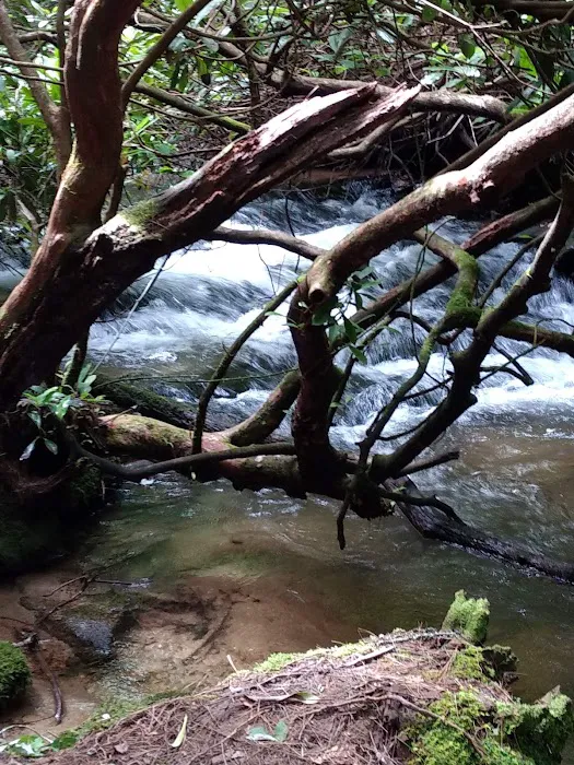 Burrell's Ford Campground Parking Picture 4